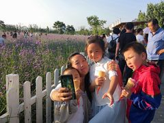 -渔岛海洋度假区