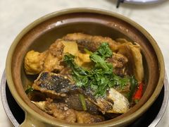 沙锅鱼头-潮信鱼头王(西环店)