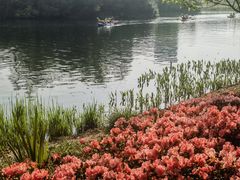-新江湾城公园