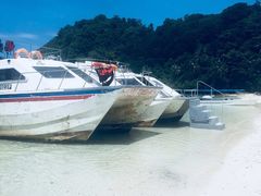 -东姑阿都拉曼海洋公园