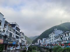 -自游人·美食一楼·地道徽菜(三十年名店)