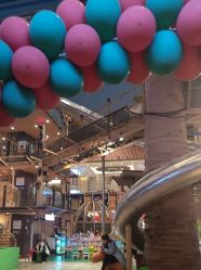 -卡通尼·Safari非洲探索乐园·生日会(金桥国际商业广场店)