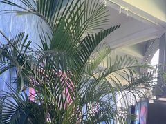 -CIAO·团建聚餐·生日派对轰趴馆(福田店)