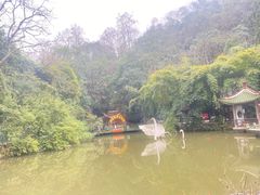 -黔灵山公园