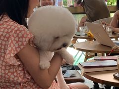-铁手珈琲制造局metalhands(望京店)