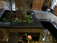-碧露轩·大益茶体验馆(镇江路店)