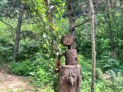 -鲁山国家森林公园