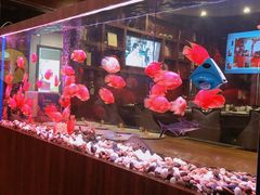 景观位-火舞铁板烧(龙岗中心城店)