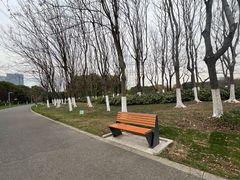 -九里河湿地公园