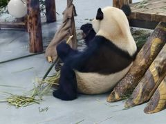 -无锡动物园·太湖欢乐园