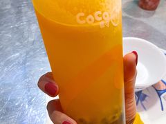 鲜百香双响炮-CoCo都可(盐城大有境店)