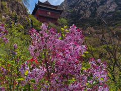 -鸡鸣山旅游风景区
