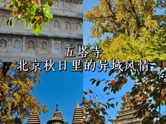 -北京石刻艺术博物馆
