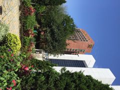 沙田公园-沙田公园