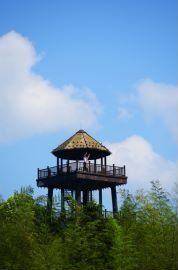 -赤水丹霞旅游区·大瀑布