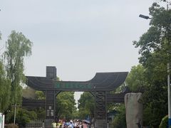 -溱湖国家湿地公园