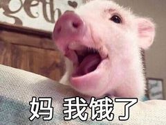 -北疆饭店(苏宁广场店)