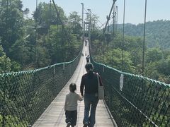 -石燕湖生态旅游景区