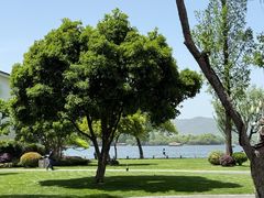 -杭州西湖柳莺里酒店·闻莺厅