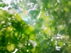 -清真悦宾楼食府(海湖店)