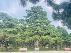 -北陵公园