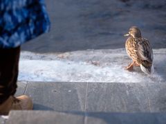 -水磨沟公园