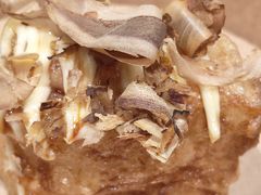 -深圳湾万象城(南山店)