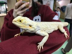 -藦茜花园宠物主题亲子互动体验馆(国顺东路店)