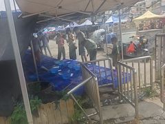 -中环花鸟鱼虫市场