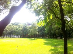 android_upload_pic-中山大学学者灵芝(园南路店)