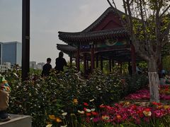 -西海子公园
