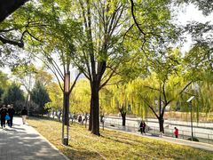 -元大都城垣遗址公园