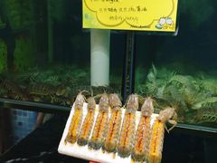 -蚝专家(北滘店)