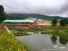 -横道河子东北虎林园