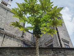 -荔湾博物馆