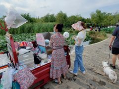 -前关湿地公园