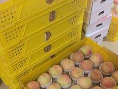 -老袁家蜜桃农场·阳山水蜜桃