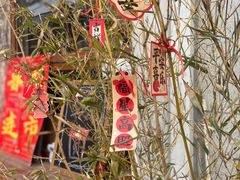 -星星奶冰·汤圆刨冰(甘肃路店)