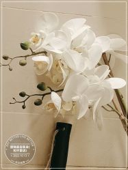 -LJOY丽锦造型·烫发染发