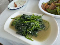 -云中小雅