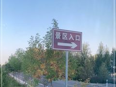 -金塔沙漠胡杨林景区