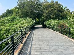 -尚贤河湿地