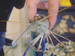 -神洲四海大酒楼(王府井澳门中心店)