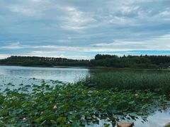 -丁香湖公园