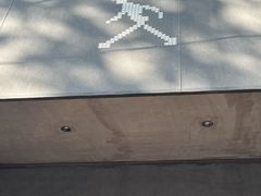 -常识咖啡common sense(春熙路店)