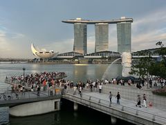 -新加坡瑞士史丹福酒店