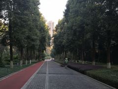 -龙头寺公园