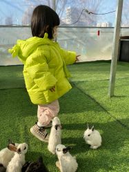 -萌宠亲子动物乐园(槐房万达店)