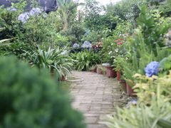 -白鹭湾湿地公园