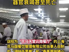 -花马天堂云南餐厅 Lost Heaven(外滩店)